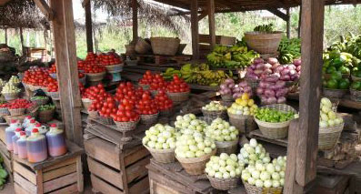 Photo: vegetable stand